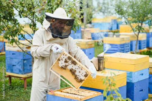 Beekeeper working collect honey. Beekeeping concept. © Serhii