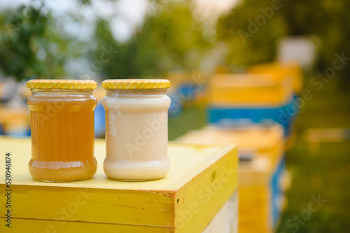 Honey jar and beehives on meadow in springtime. Apiculture and honey production. Healthy and organic natural food. Sweet food.