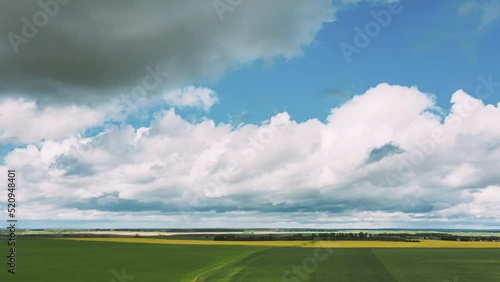 Countryside Rural Field Landscape With Young Wheat Sprouts In Spring Summer Cloudy Day. Agricultural Field. Young Wheat Shoots. Aerial View. Drone Lapse Hyperlapse 4K. photo