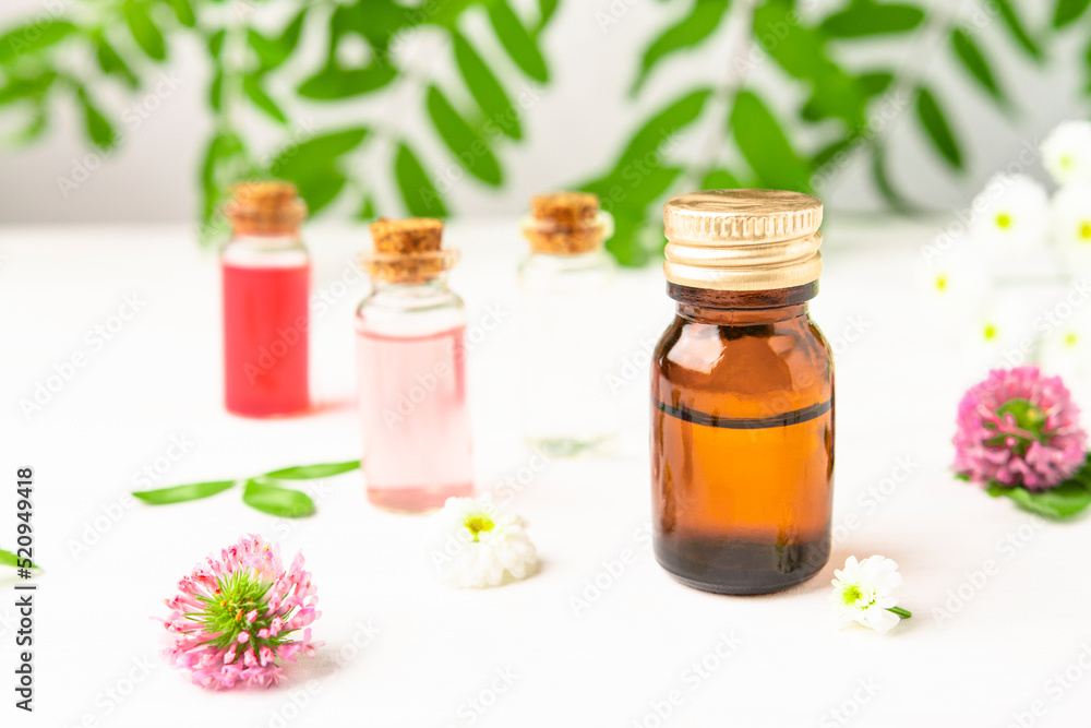Aromatherapy oil in a brown bottle and floral extracts in transparent bottles with wildflowers and green leaves. Aromatherapy oil in a brown bottle and floral extracts in transparent bottles with wildflowers and green leaves.