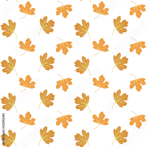 Seamless ornament with orange autumn leaves of golden currant isolated on white background. Natural pattern for fabric.