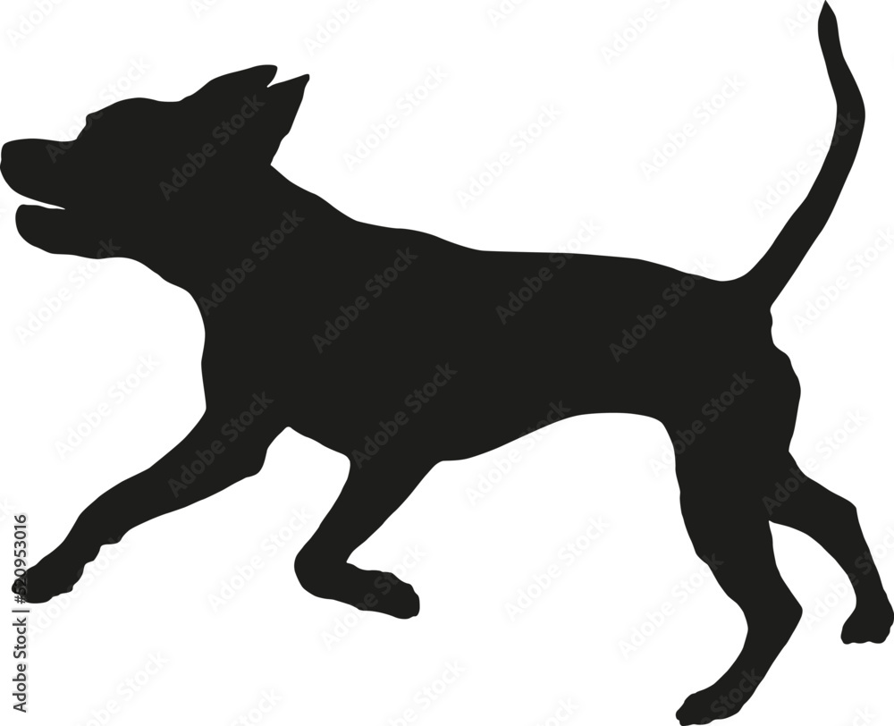Black dog silhouette. Running and jumping american pit bull terrier puppy. Pet animals. Isolated on a white background. Vector illustration.