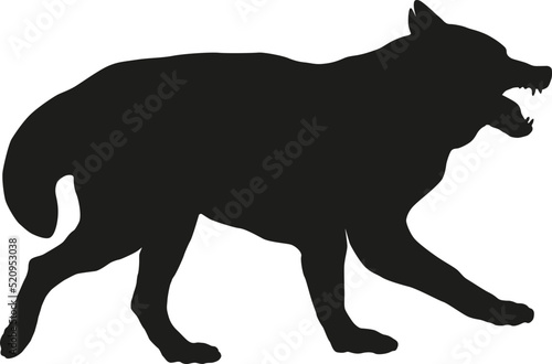 Dangerous and angry siberian husky puppy. Agressive dog. Black dog silhouette. Pet animals. Isolated on a white background. Vector illustration.