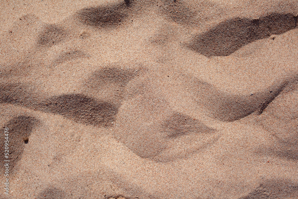 The texture of pure sand on the beach or in the desert. There is free space for the text. The texture of pure sand on the beach or in the desert. There is free space for the text.