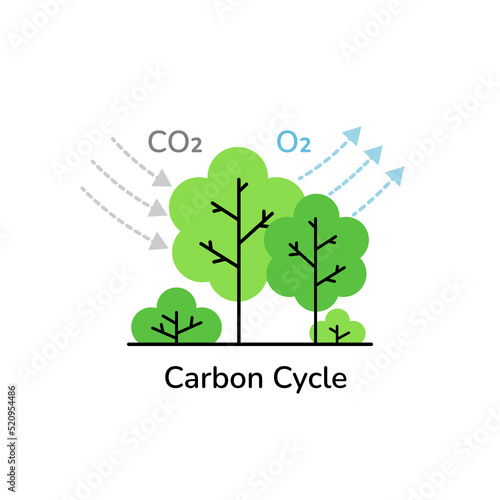 Photosynthesis carbon cycle. Tree absorbs co2 gas and produces oxygen molecules. CO2 neutral, greenhouse gas emission reduction, zero carbon footprint concept line art vector illustration.