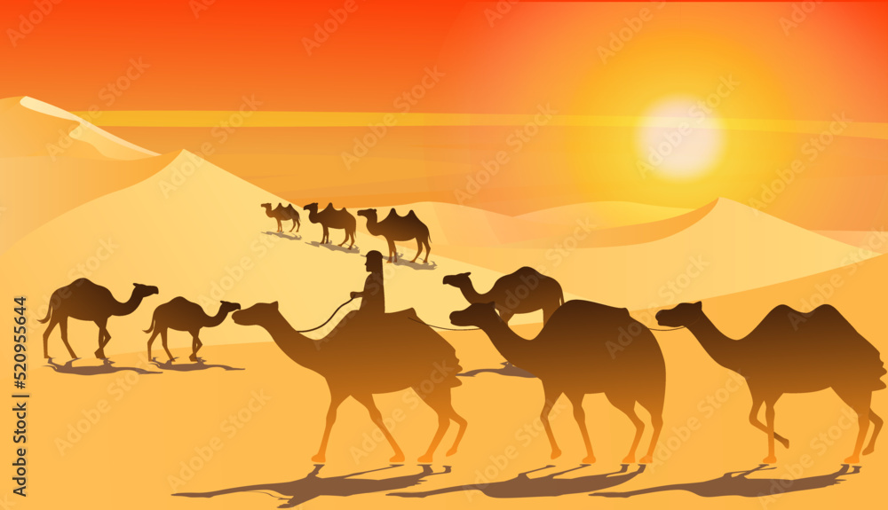 camels in the desert camels in the desert