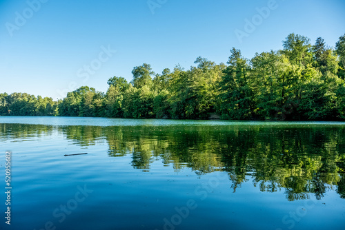 Lake Moosweiher in Freiburg in Summer 2022