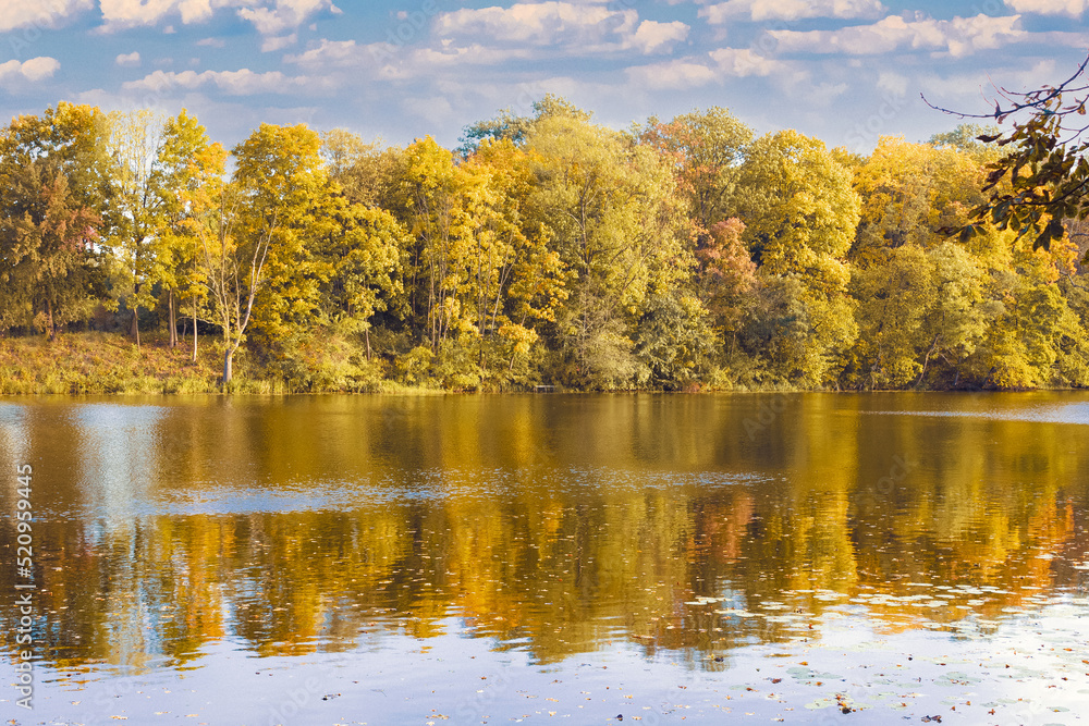 Beautiful landscape, trees with yellow leaves on the river bank