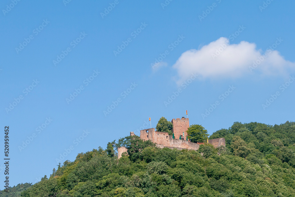 Burg Landeck, Pfalz