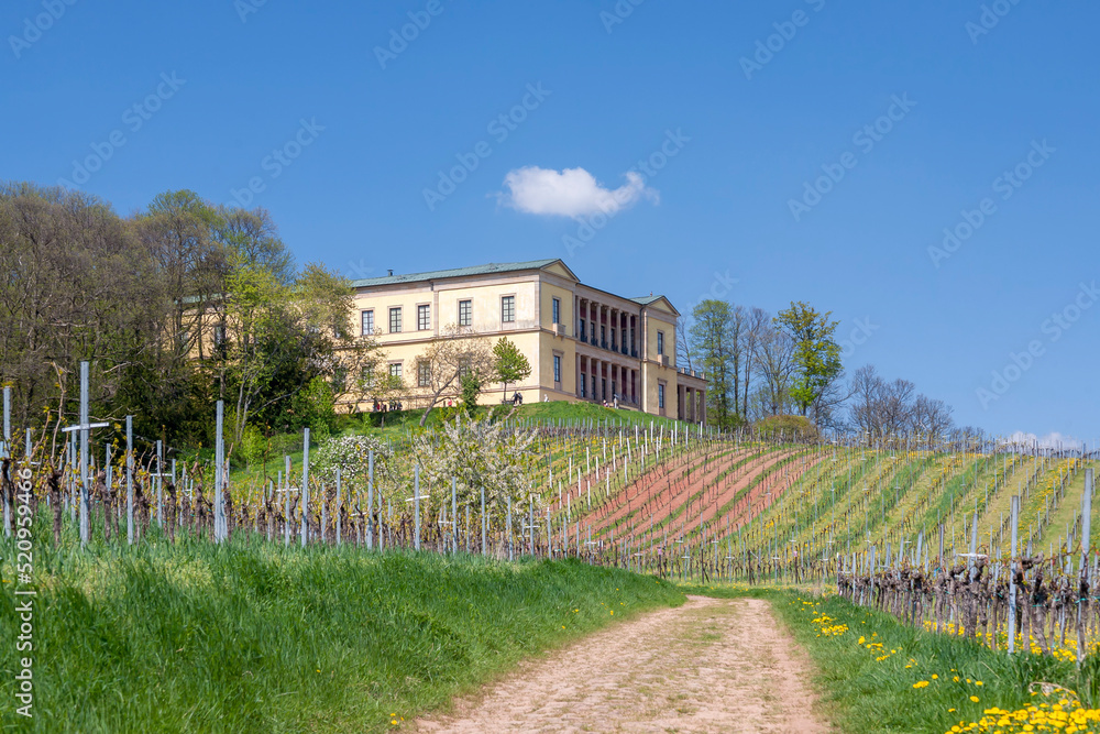 Obraz premium Schloß Villa Ludwighöhe