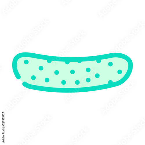 cucumber with pimples color icon vector. cucumber with pimples sign. isolated symbol illustration