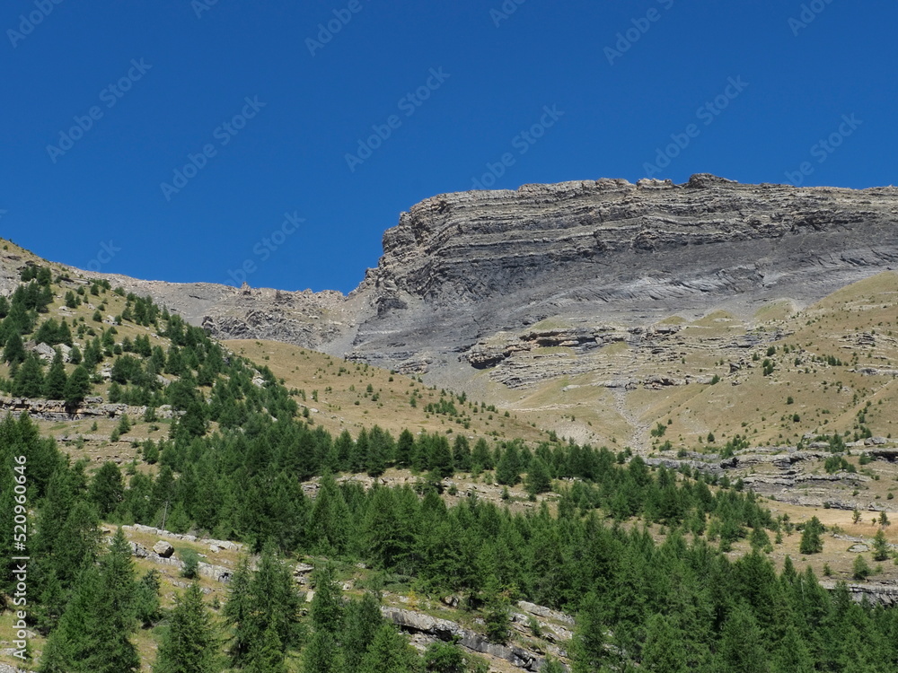 Massif des écrins dans les alpes françaises. Strates géologiques au milieu des alpages et des forêts de mélèzes et d'épicéas sur fond de ciel bleu.