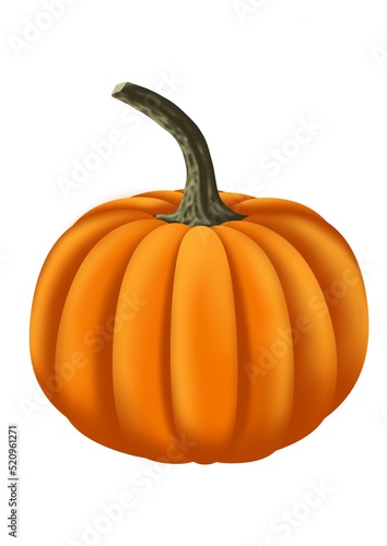Pumpkin orange illustration autumn halloween