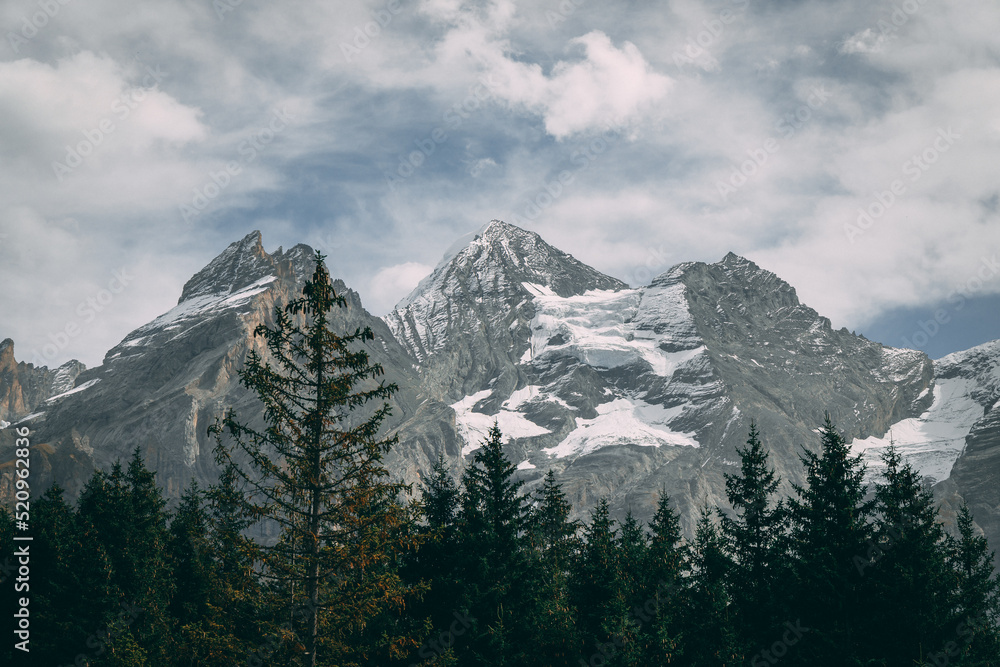 landscape in the mountains