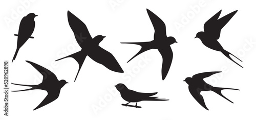 Flying swallows silhouettes. Bird in flight isolated on a white background. Vector illustration in a flat style.  © Iv85