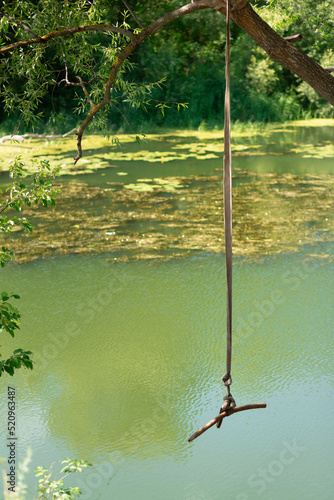 A bungee on a rope hanging down from a tree above the green river with seaweed on the surface.