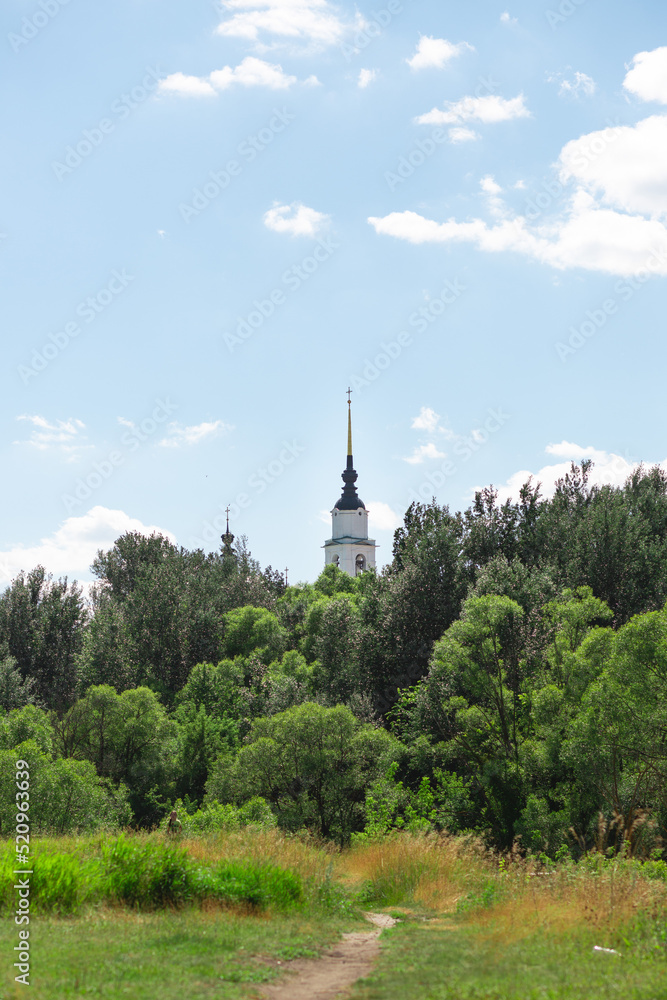 Landscape shot. A white church or cathedral in the distance surrounded with lots of trees. A rural dirt road leading towards it with bushes and grass on the foreground. Blue cloudy sky above