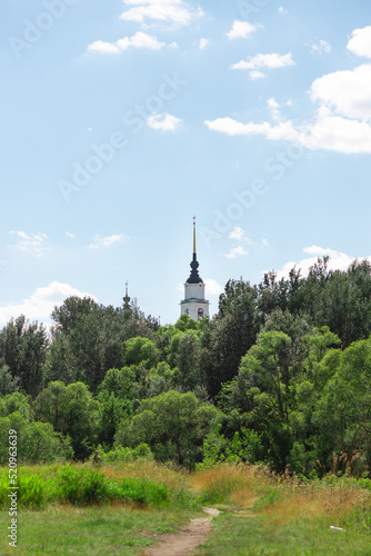 Landscape shot. A white church or cathedral in the distance surrounded with lots of trees. A rural dirt road leading towards it with bushes and grass on the foreground. Blue cloudy sky above