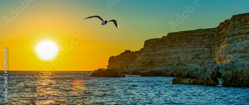 A bright sunset with the sun and a seagull in selective focus over the sea or ocean against the backdrop of rocks. Taken in backlit and sun glare. Seascape in the evening, desktop wallpaper.