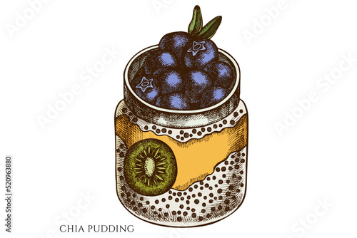 Breakfast hand drawn vector illustrations collection. Colored chia pudding.