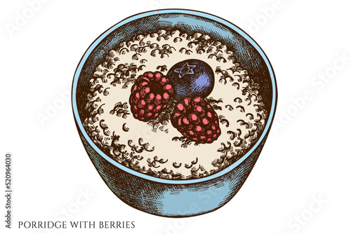 Breakfast hand drawn vector illustrations collection. Colored porridge with berries.