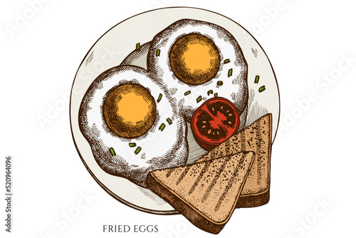 Breakfast hand drawn vector illustrations collection. Colored fried eggs.