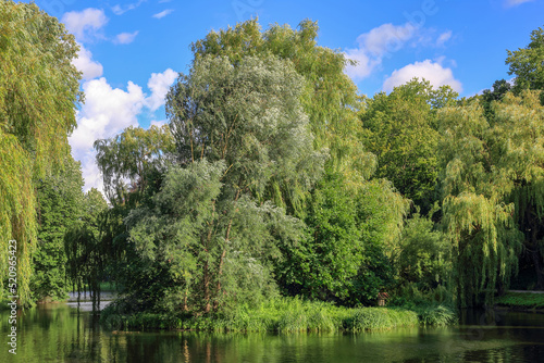 Trees reflecting in the lake's surface in Koszalin, Poland