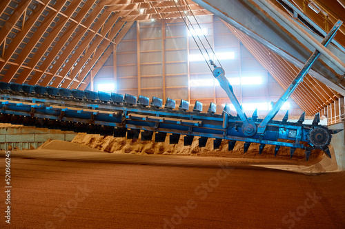 Obraz na plátně Raking phosphate mineral powder with tools in storehouse