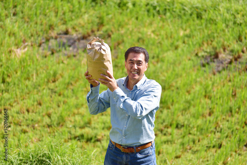 新米　収獲　千枚田　農作業　男性　