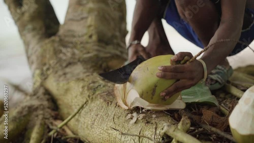 An unrecognizable Papuan is cutting a young coconut with a machete in slow motion. Close-up shot