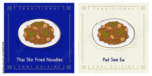 Pad See Ew Thai Stir Fried Noodles - Thai food
