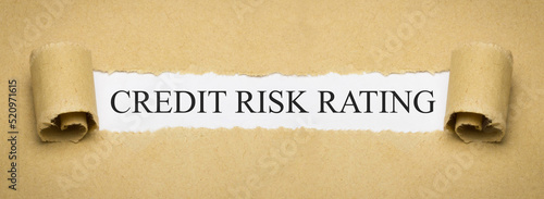 credit risk rating