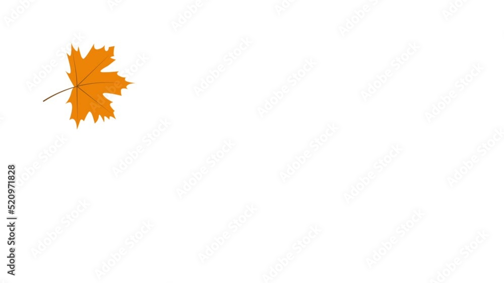 simple animation with word halloween on white simple animation with word halloween on white