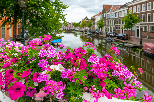 Blooming flowers in front of beautiful ancient houses and the channel of Haarlem.