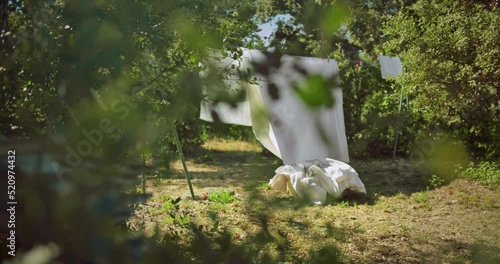 Hanging Laundry Bed Wet Sheets On Clothesline in Countryside in summer day. High quality 4k footage
