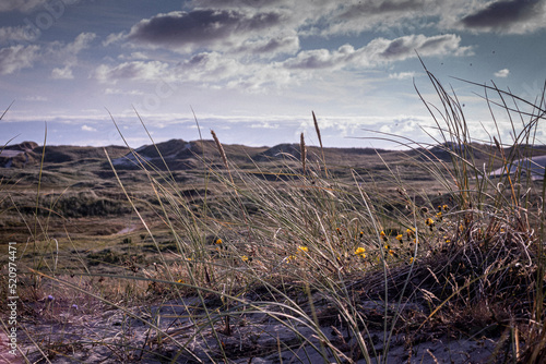 sunset over the dunes denmark hvide sande 