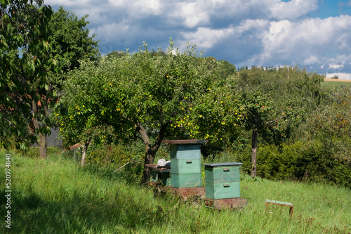 A bee in an orchard. Equipment in which bees are kept.