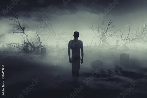 ghost in the fog, scary halloween landscape