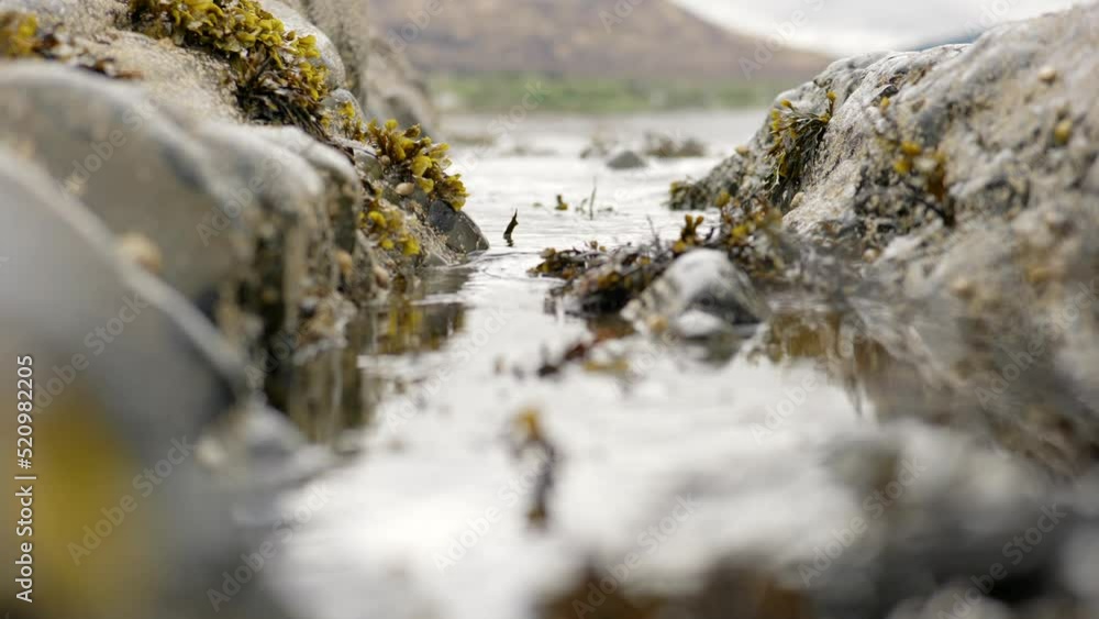 Gentle ocean waves lap against rocks, crashing into focus as they are forced through a narrow gap in the rocks towards the camera which is focused on seaweed filled rockpools. Ardnamurchan, Scotland. Gentle ocean waves lap against rocks, crashing into focus as they are forced through a narrow gap in the rocks towards the camera which is focused on seaweed filled rockpools. Ardnamurchan, Scotland.