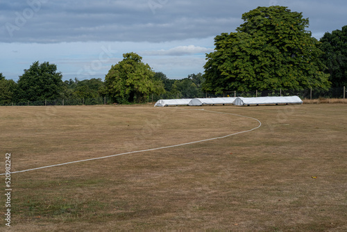 Wallpaper Mural Brown Cricket pitch in July 2022 Torontodigital.ca
