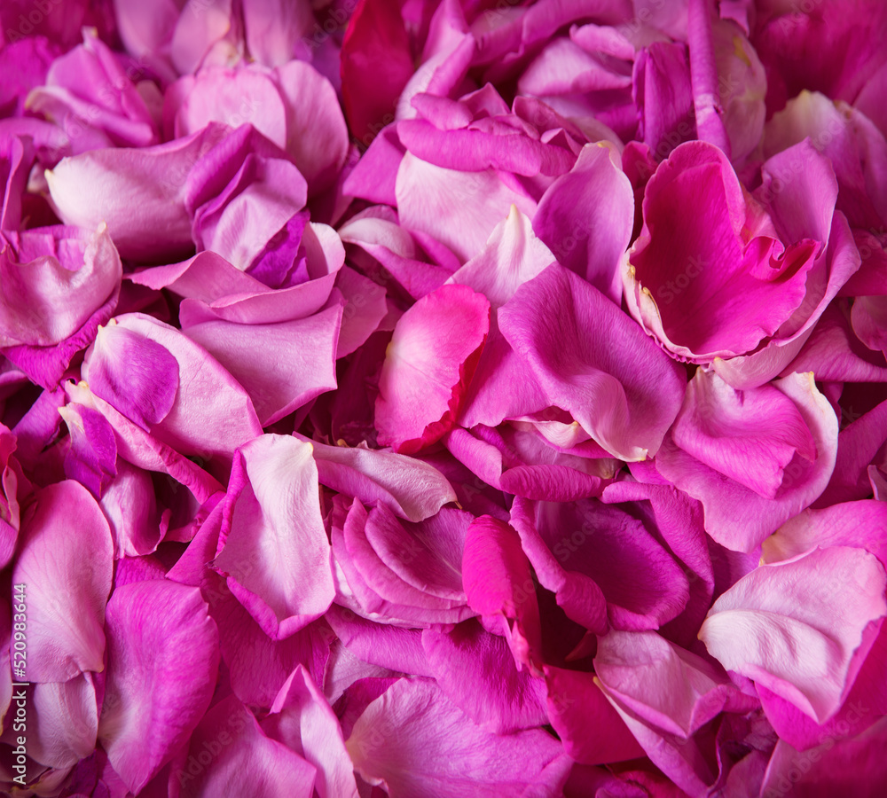 Natural background of rose petals