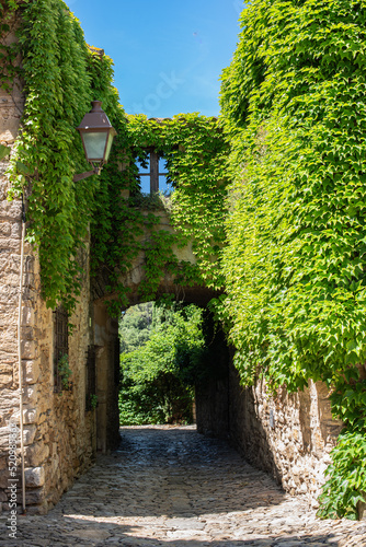 Valokuvatapetti Detalle de un castillo medieval, donde dos edificios se unen por un paso elevado, y la vegetación cubre casi la totalidad de la piedra, incidiendo en diagonal la luz natural