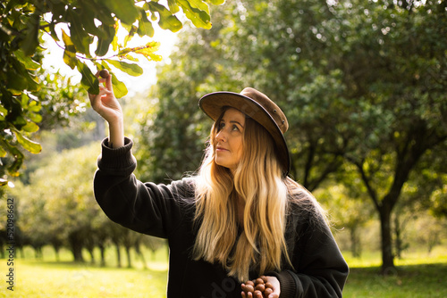 Woman harvesting Macadamia nuts in Australia