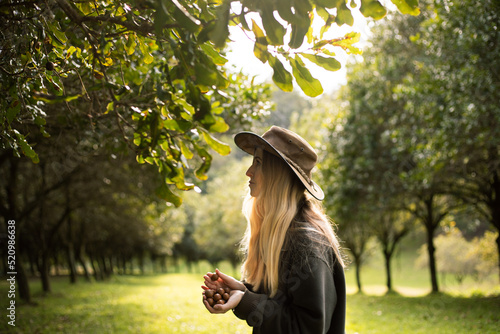 Foto Woman harvesting Macadamia nuts in Australia
