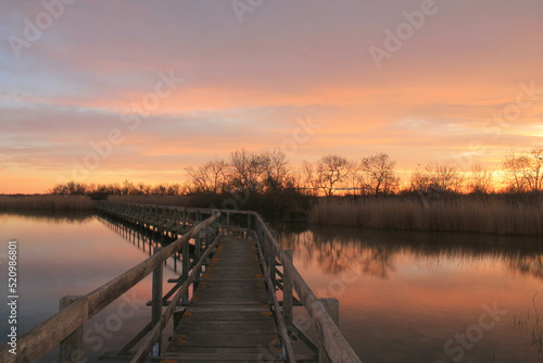Canvas Print Wooden pontoon in the marshes of Candillargues pond in the south of Montpellier