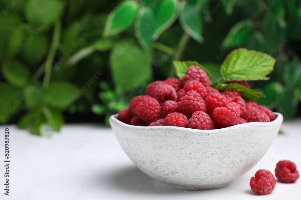 Bowl of fresh ripe raspberries with green leaves on white table against blurred background. Space for text Bowl of fresh ripe raspberries with green leaves on white table against blurred background. Space for text