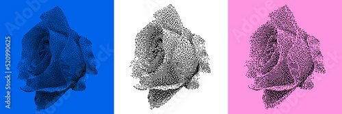 Universal Trendy Geometric Flower Rose pattern