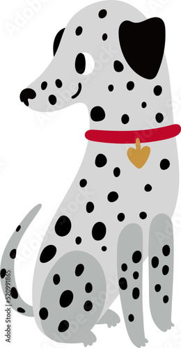 Cute dalmatian in red collar. Happy dog sitting