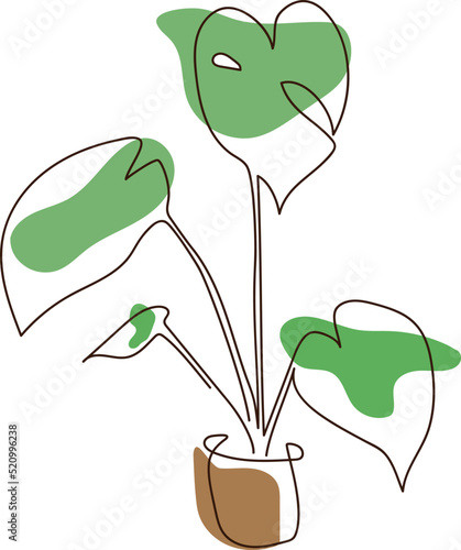 set of plants camel sole plant