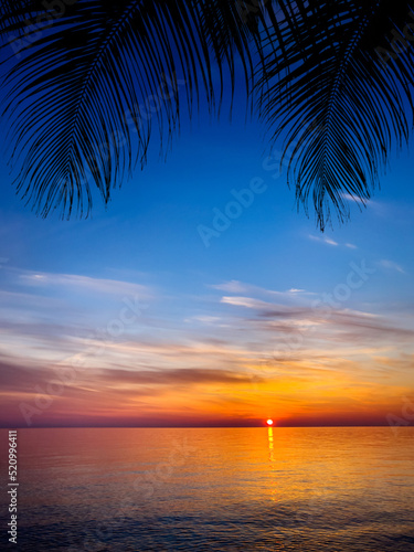 Silhouette of palm trees Beautiful sunset on the tropical sea beach